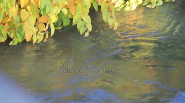 sonbahar Nehri boyunca ağır çekim