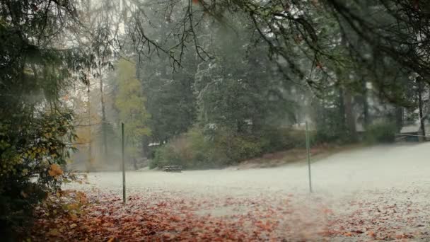 Nieve Cayendo Sobre Parque Otoño — Vídeos de Stock