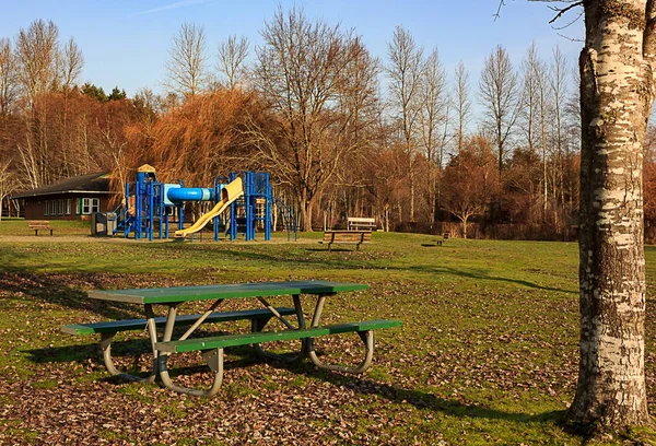 Parc de comté rural playset — Photo