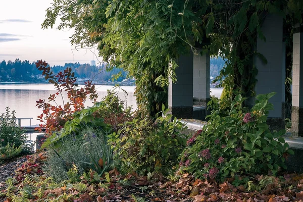 Bewachsene Struktur in der Nähe des Sees — Stockfoto