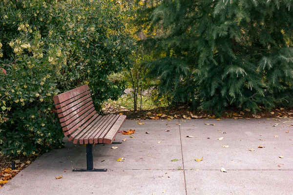 Park bench on concrete slab — Stock Photo, Image
