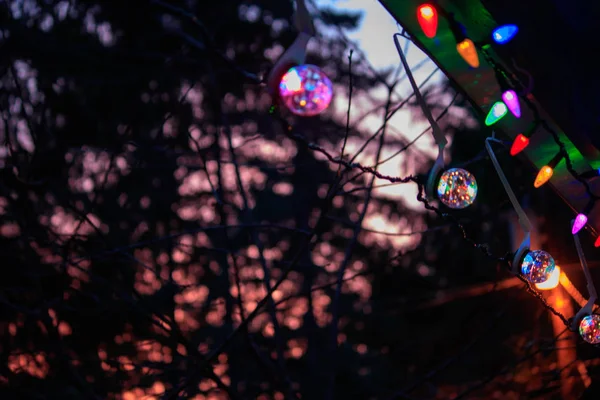 Colorful lights on roof with forest in background under bright sunset — Stock Photo, Image