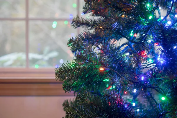Рождественские огни висят на зеленом дереве возле окна — стоковое фото