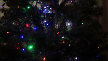 Noel ışıkları twinklingin ağacı