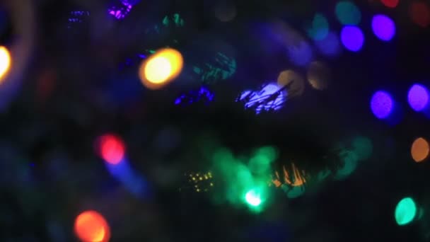 les lumières de Noël se mettent en évidence 