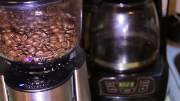 Koffiebonen hopper naar beneden doorlopen — Stockvideo