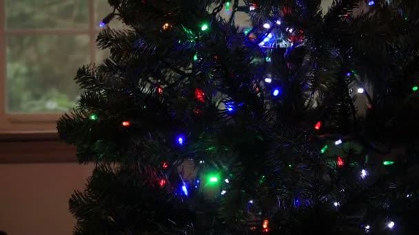 Panoramique à travers arbre de Noël sombre — Video