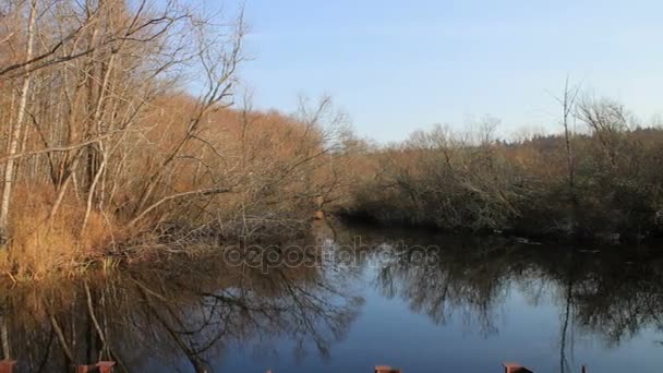 Panning through rural lake area — Stock Video