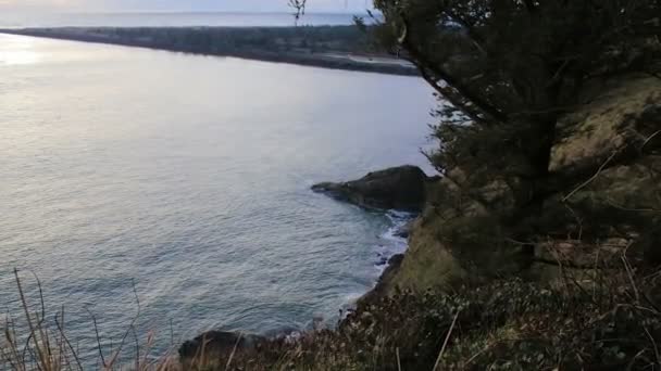 鳥と崖をビーチでサンセット — ストック動画