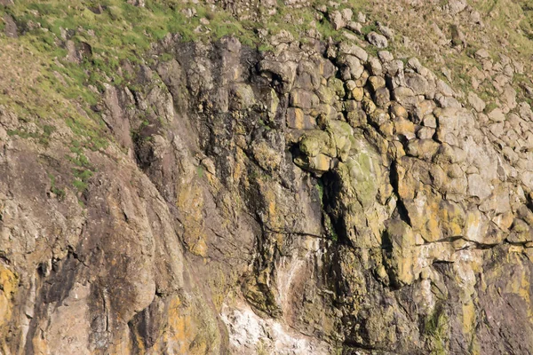 Muschio luminoso su rocce multicolori — Foto Stock