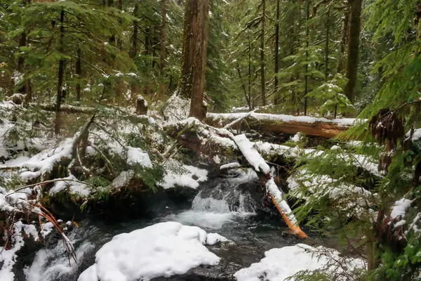 Schneebedeckter Fluss durch Bergwald — Stockfoto