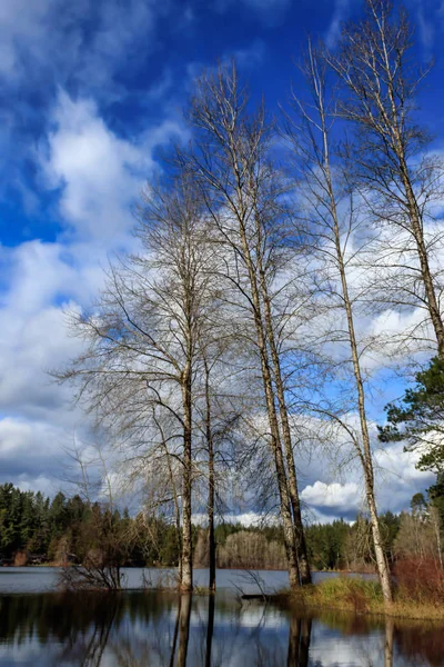 Blauer Himmel und weiße Wolken — Stockfoto