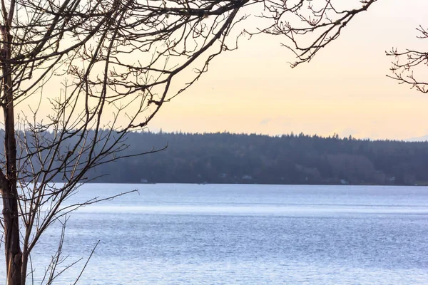 Branches devant l'eau bleue et le ciel ogrange — Photo