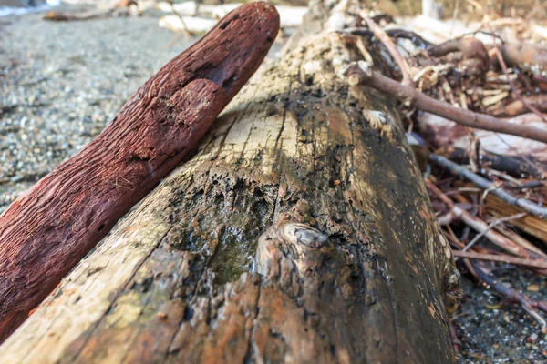 Pile de bois flotté rouge et brun — Photo