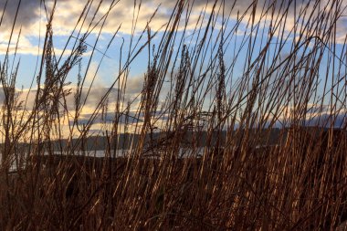 Sunny beach kumulları ve mavi gökyüzü ile