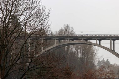Köprü ve bulutlu gün ağaçta