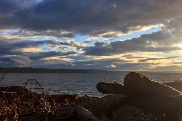 Coucher de soleil sur bois flotté — Photo