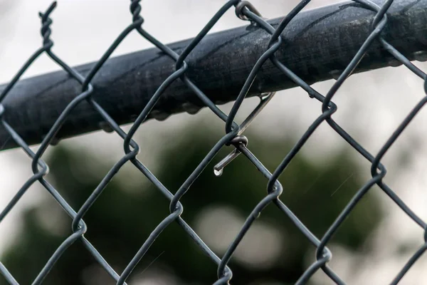 Rain drops on chain link fence after a storm — Stock Image Rain drops on chain link fence after a storm Royalty Free Stock Photos