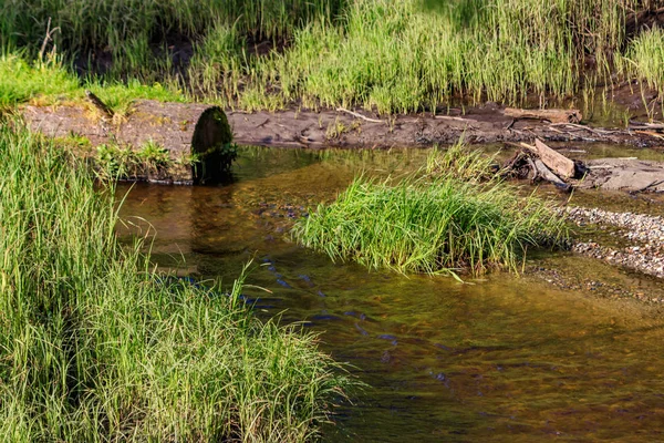 Rio através de clareira grama — Fotografia de Stock