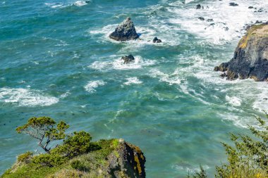 Yeşil ağaç uçurumun üzerinde asılı
