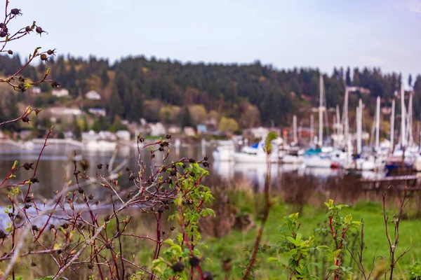 Boats blurred in the distance — Stock Photo, Image