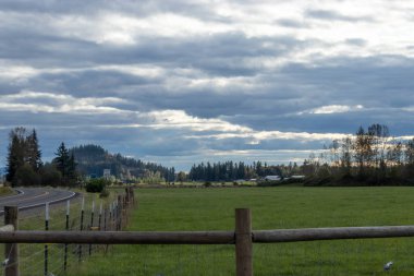 Otoyolun kenarında yeşil bir çayır var.