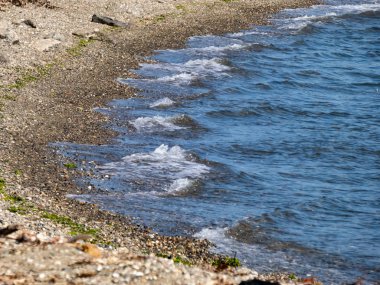Mavi tuzlu suyla puget sesi boyunca kıyı şeridi