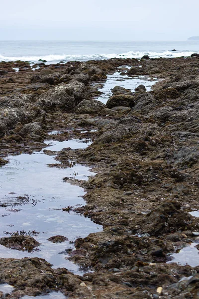 Tidal pools surrounded with sea life covered rocks — Stock Photo, Image