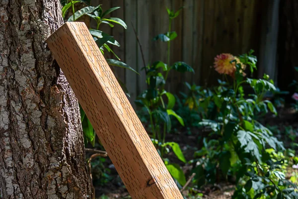 Poteau de support en bois prêt à construire une clôture dans la cour — Photo