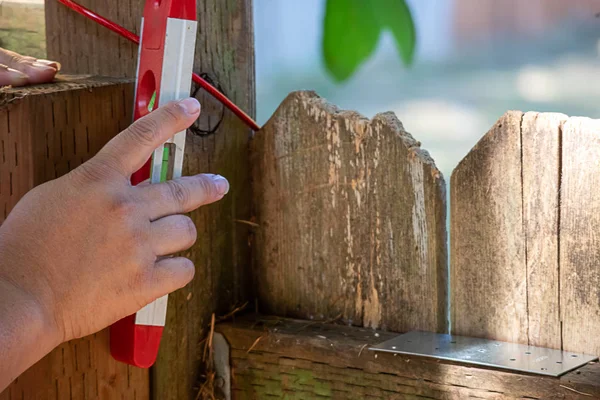 Kadınlar arka bahçedeki çitleri kontrol etmek için el ele tutuşuyorlar.