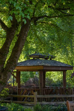 gazebo sitting in deep green forest area in summer clipart