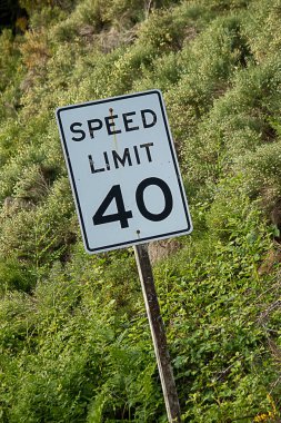 american speen imit sign with 40 mph against green hillside