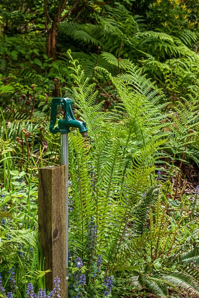 Old water pump attatched to a wooden post — Stock Photo, Image