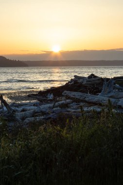 Washington kıyıları boyunca uzanan parlak mavi puget suyu.