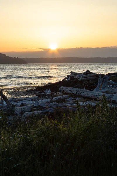 Acqua blu brillante di puget suono lungo la costa di Washington — Foto Stock