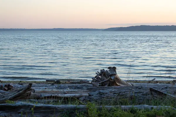 Helles blaues Wasser von puget sound entlang der Küste von Washington — Stockfoto