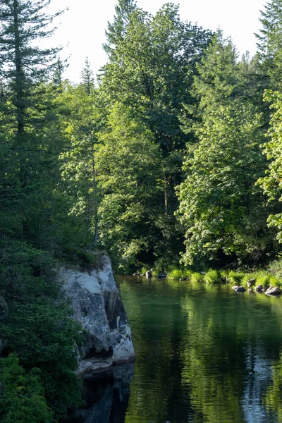 Wasser fließt entlang des grünen Flusses im Bundesstaat Washington im Wald — Stockfoto