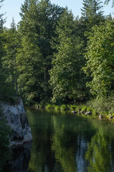 Wasser fließt entlang des grünen Flusses im Bundesstaat Washington im Wald — Stockfoto