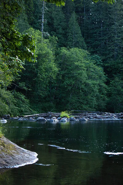 Wasser fließt entlang des grünen Flusses im Bundesstaat Washington im Wald — Stockfoto