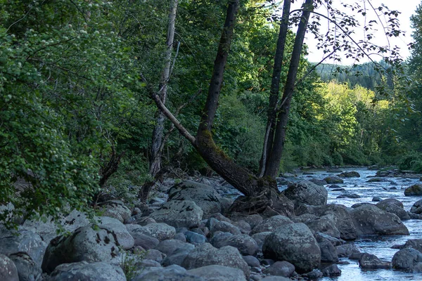 Água que flui ao longo do rio verde no estado de Washington na floresta — Fotografia de Stock