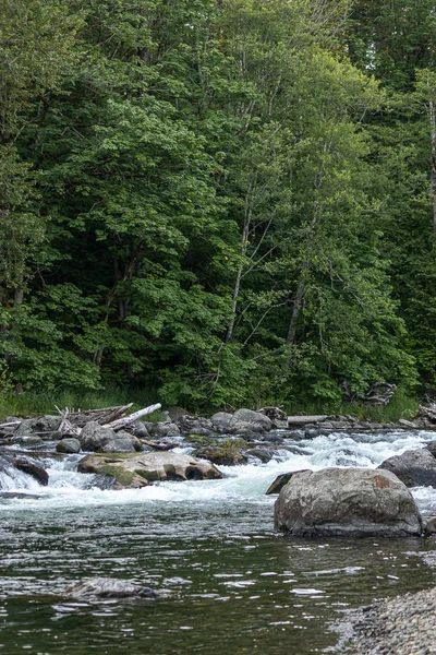 Water stroomt langs de groene rivier in Washington staat in het bos — Stockfoto