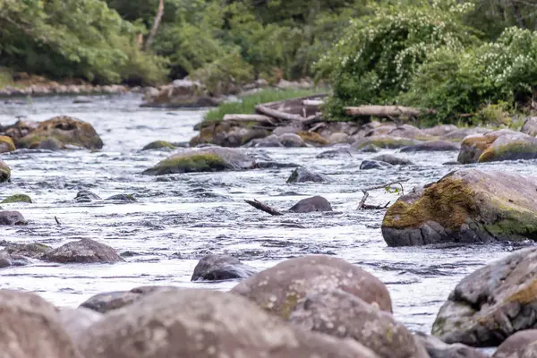 Água que flui ao longo do rio verde no estado de Washington na floresta — Fotografia de Stock