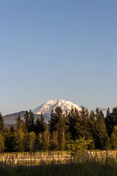 Mount Rainier stijgt boven bos en landbouwgrond — Stockfoto