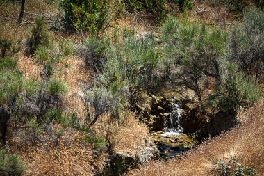 Çalılık çölde, küçük bir su akıntısı zaman havuzuna düşüyor.