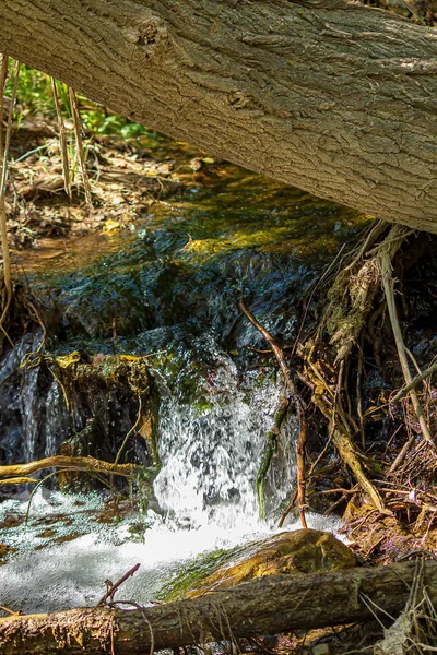 小さな川に小さな滝が — ストック写真