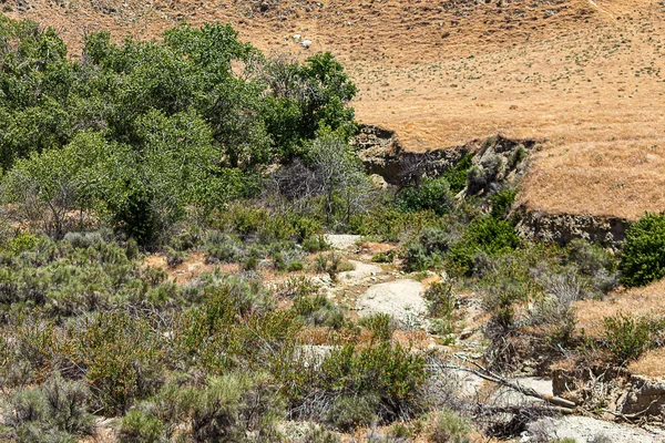 Matorral vista del desierto con capas de ecosistemas con cañón — Foto de Stock