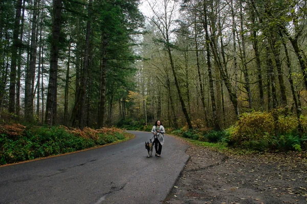 Ethnic middle aged woman walking large dog in foggy forest — Stock Photo, Image