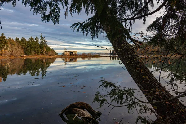 Rivage sur l'île de Bainbridge avec lueur du soleil couchant — Photo