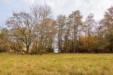 Bainbridge adasındaki kıyı şeridi batan güneşten ışıldıyor