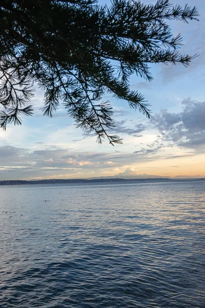 Shoreline on bainbridge island with glow from the setting sun — 스톡 사진